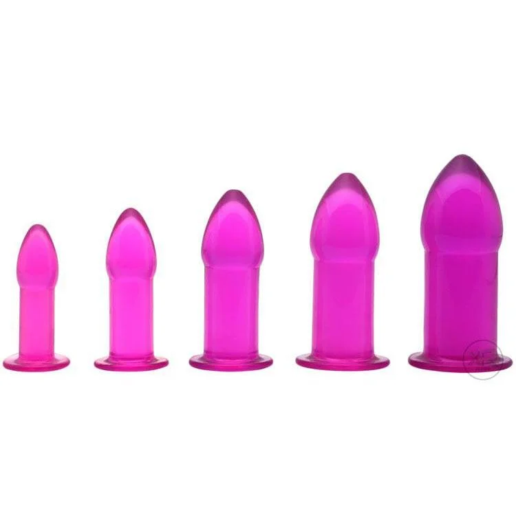 anal toys for tender stretching-Purple 5pc Anal Trainer Kit