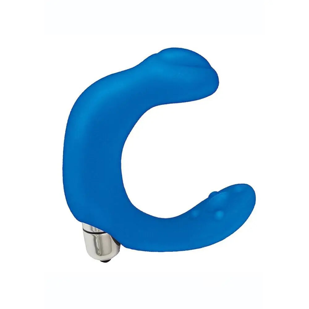 cock ring muted grip-Nasswalk Silicone Blue Multi-speed Vibrating Prostate Massager