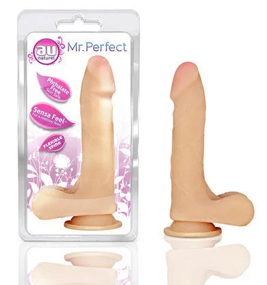 penis-anatomy-for-beginners-Mr.  Perfect